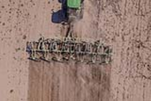 04 Fallow Master Orthman